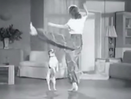 1941 kutya tánc