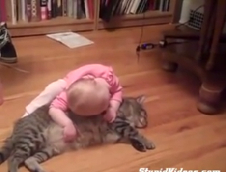 Kis baba és cica